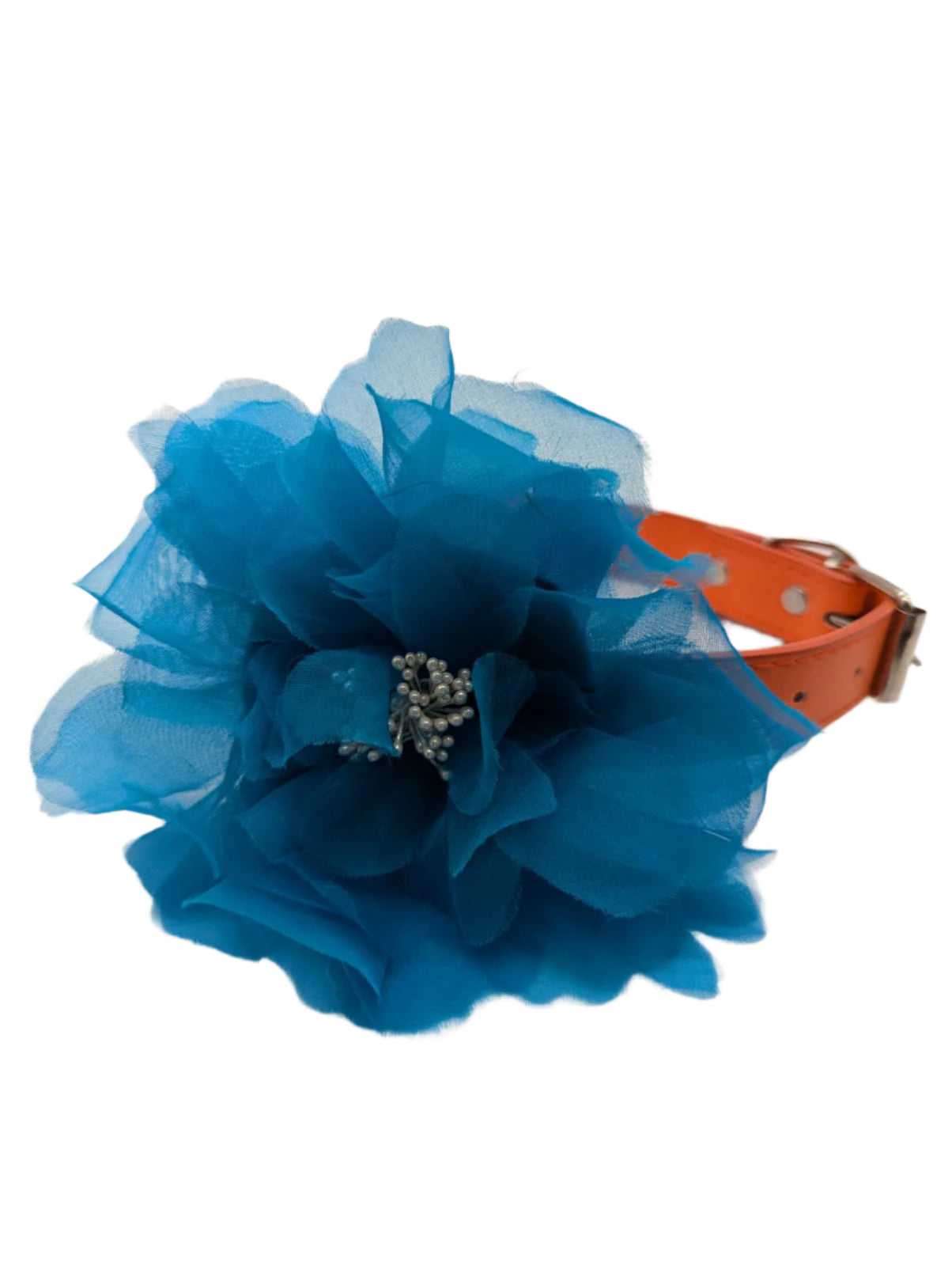 Broochella Poochella pet dog flower collar  accessory handmade luxury designer blue brooch