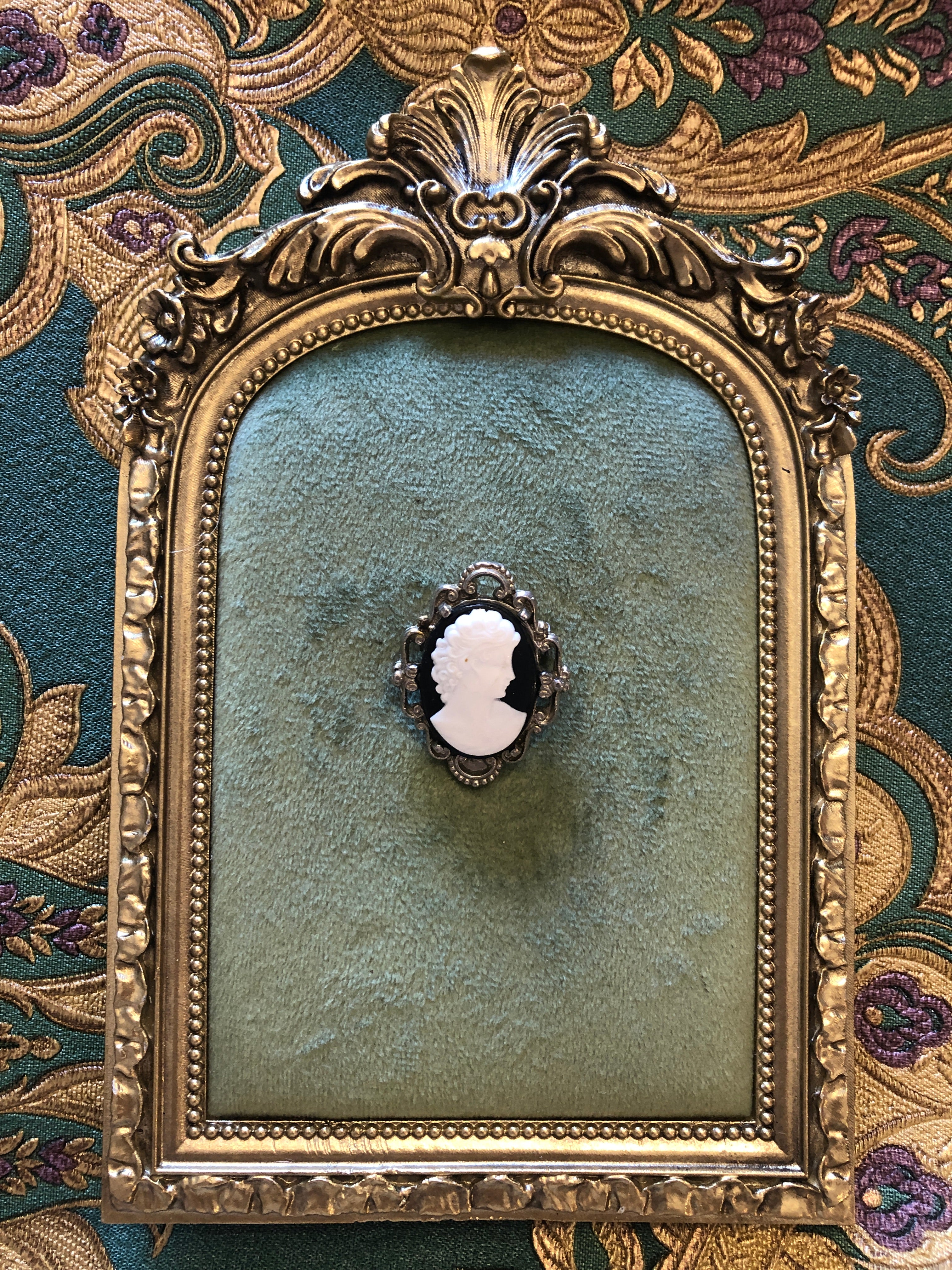 A 3.5cm x 2.5cm vintage black and white cameo brooch with a carved white classical portrait on a black oval ground, set in a silver-tone scrollwork frame. Photographed on a green velvet tray, with an ornate gold frame. The background is green and gold damask wallpaper.