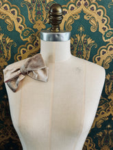 Load image into Gallery viewer, Velvet Bows - Champagne/Pink
