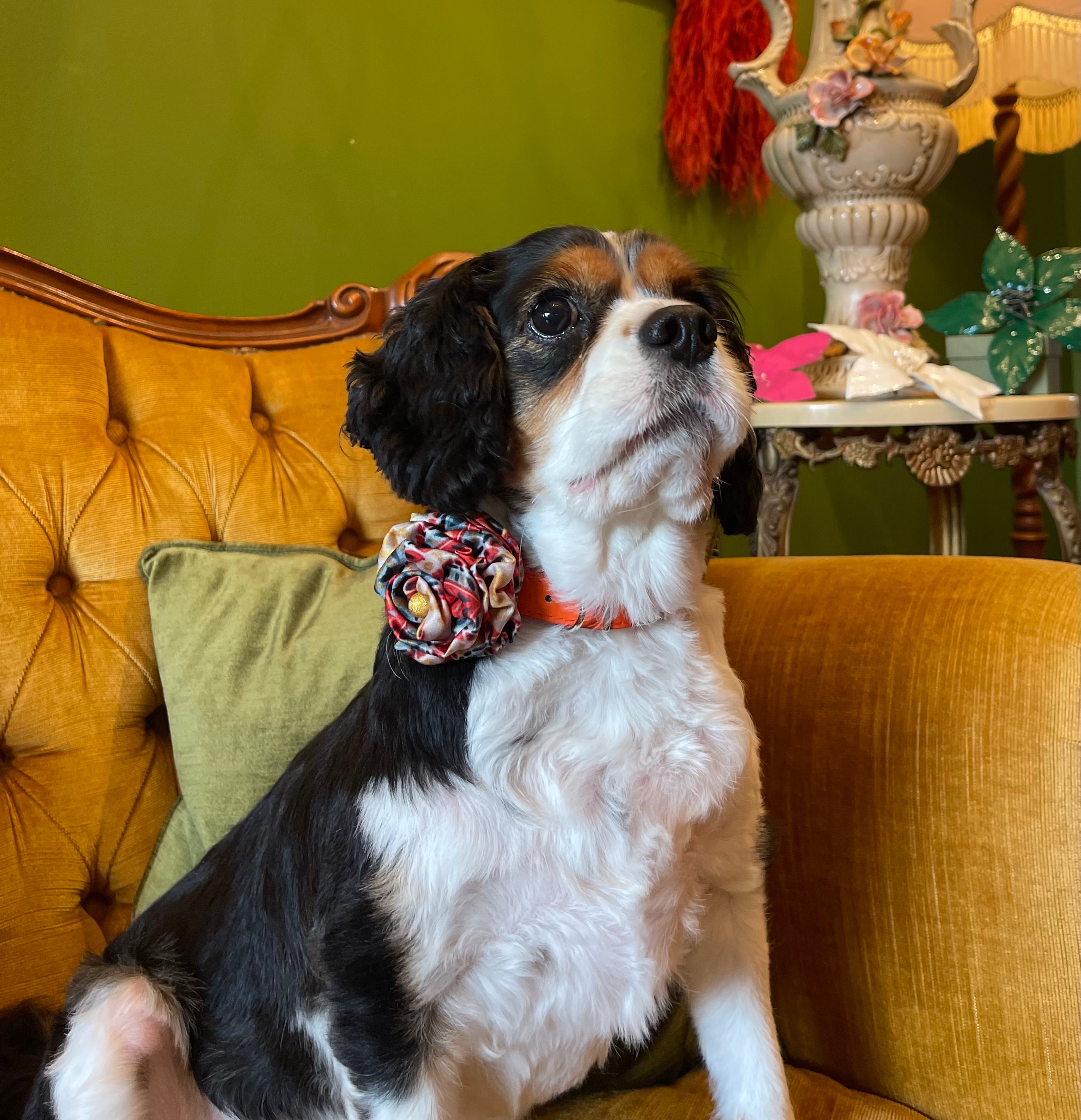 Broochella Poochella Dog pet flower brooch collar accessory handmade red printed satin designer luxury 